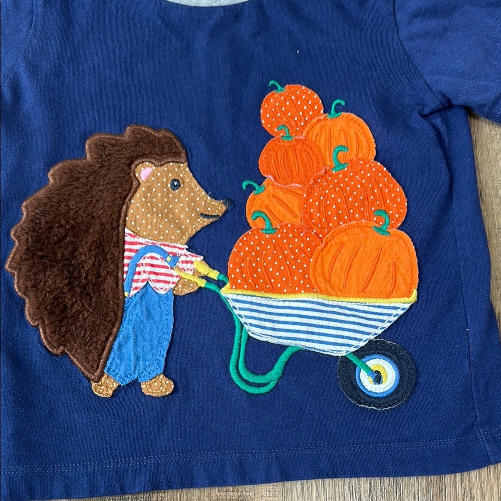 Baby Boden,Blue Kids Shirt with Hedgehog Design - Picture 5 of 9